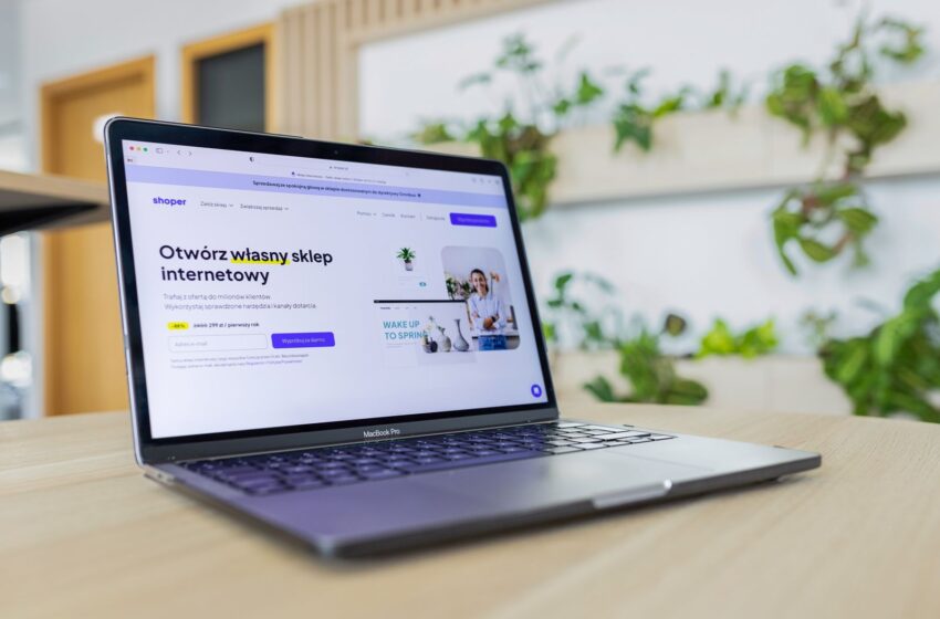 Why Every Business Needs a Professional Website